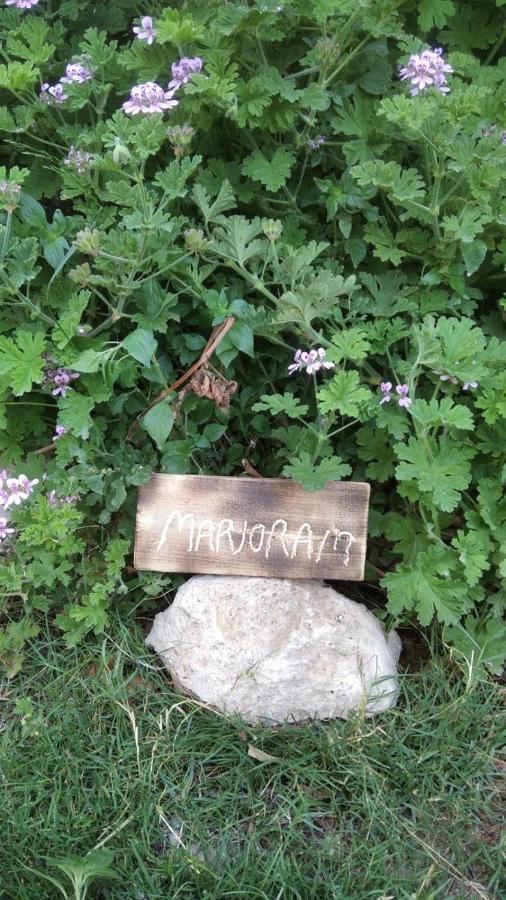 Villa Irini'S Home, Chromonastiri Khromonastírion エクステリア 写真